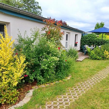 Fewo Seeadler - Heuser Prerow Exterior photo